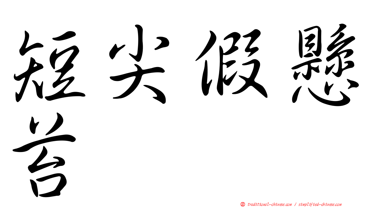 短尖假懸苔