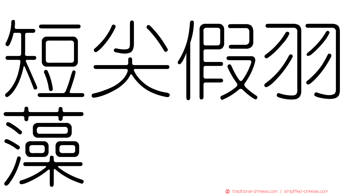 短尖假羽藻