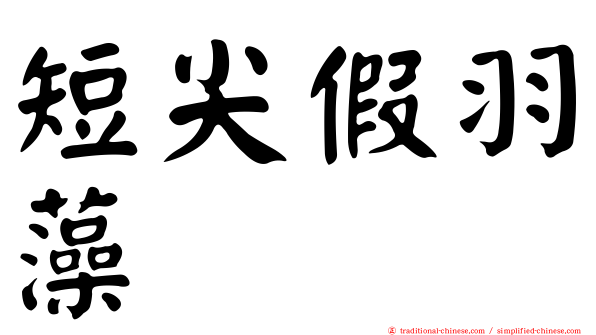 短尖假羽藻