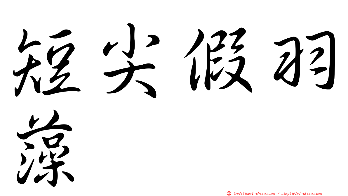 短尖假羽藻