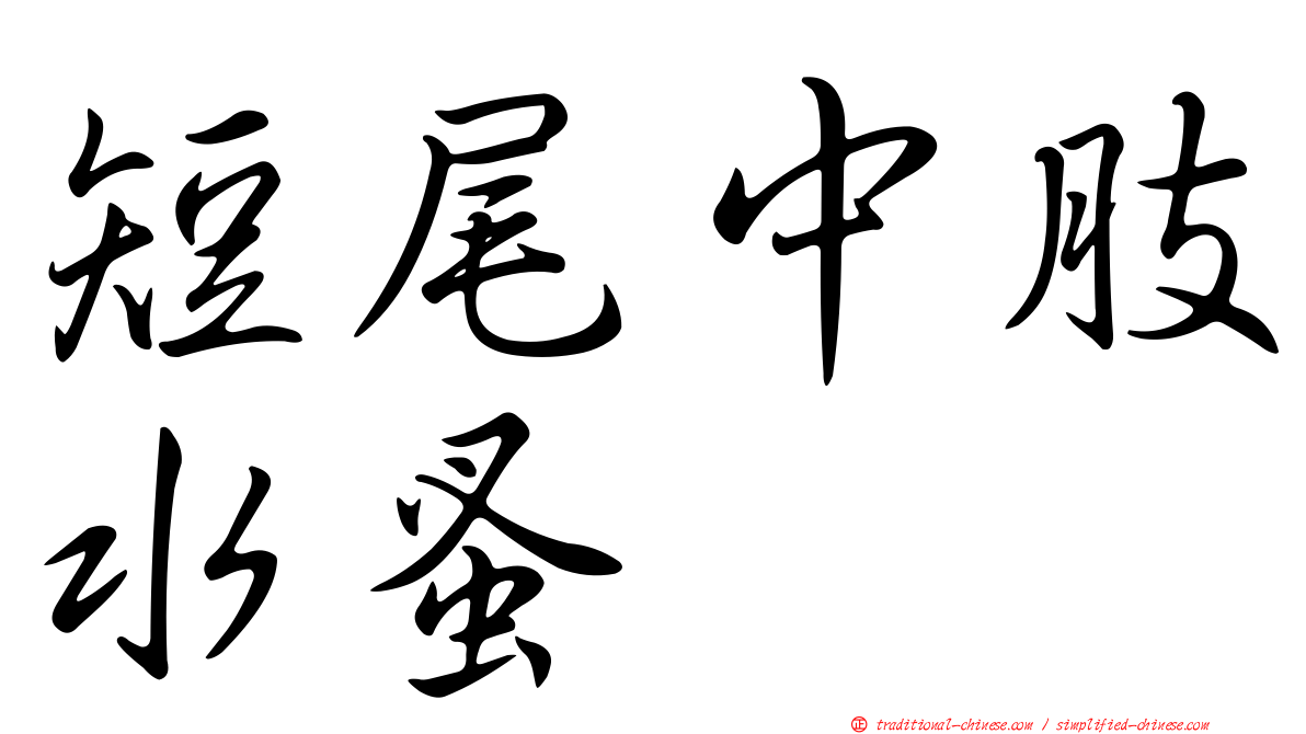 短尾中肢水蚤
