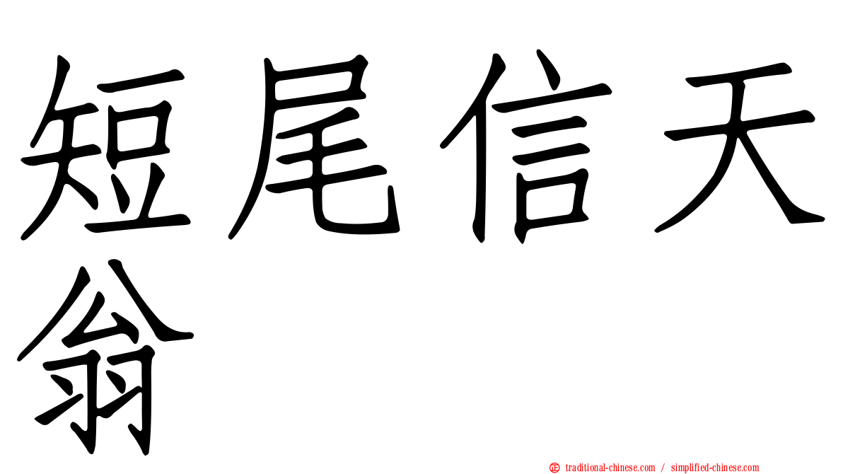 短尾信天翁