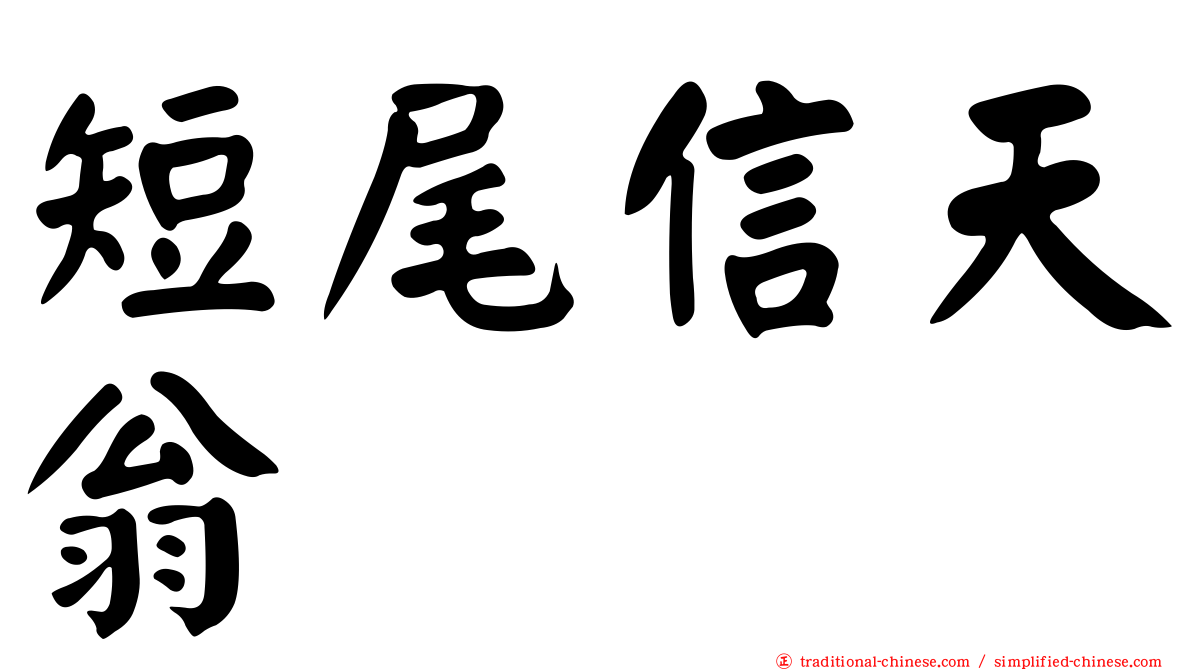 短尾信天翁