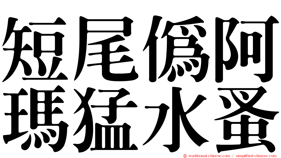 短尾偽阿瑪猛水蚤
