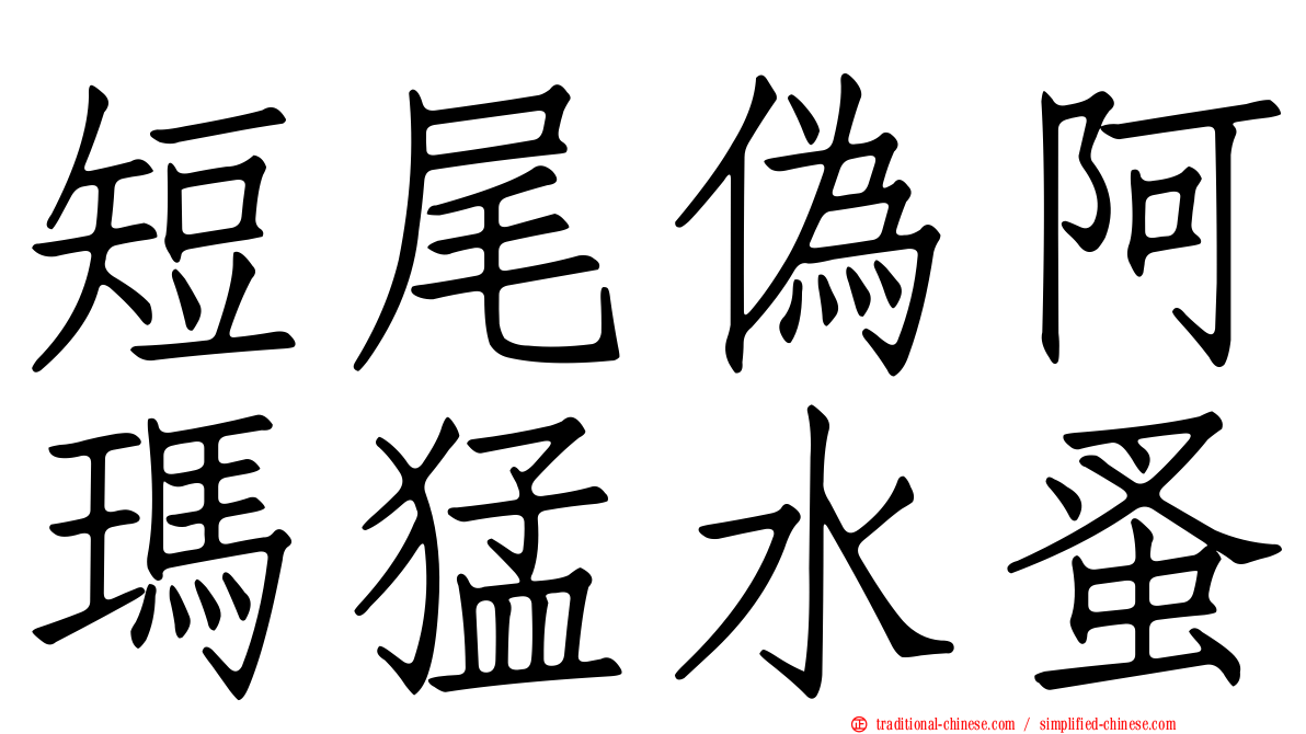 短尾偽阿瑪猛水蚤