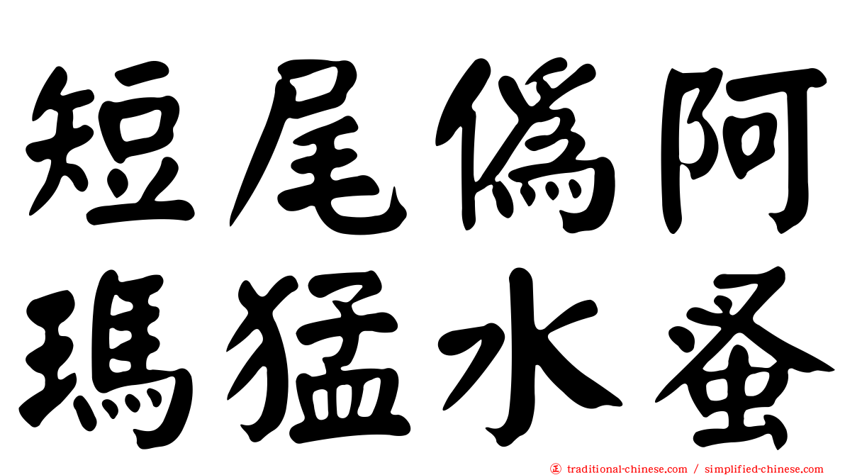 短尾偽阿瑪猛水蚤