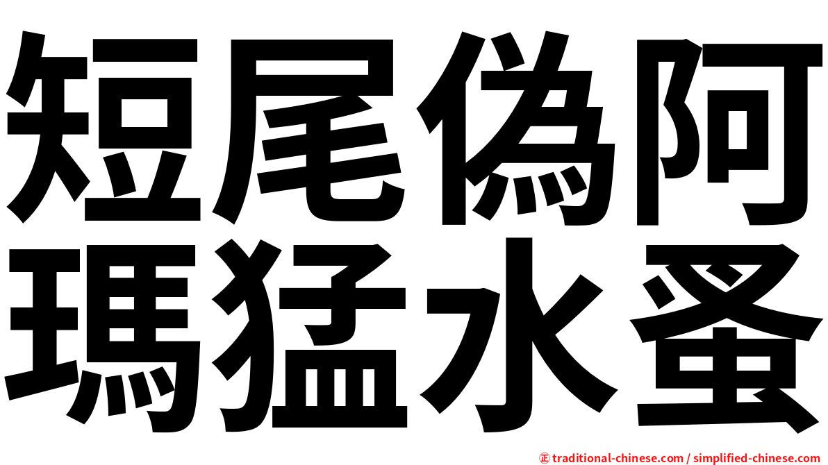 短尾偽阿瑪猛水蚤