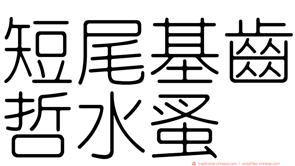 短尾基齒哲水蚤