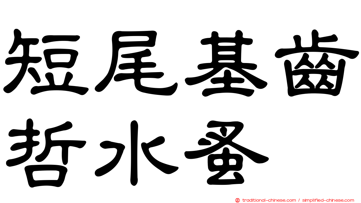 短尾基齒哲水蚤