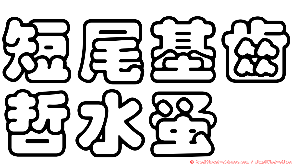 短尾基齒哲水蚤
