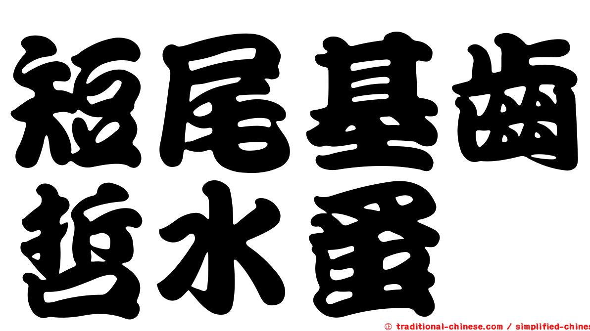 短尾基齒哲水蚤