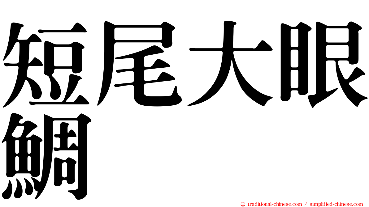 短尾大眼鯛