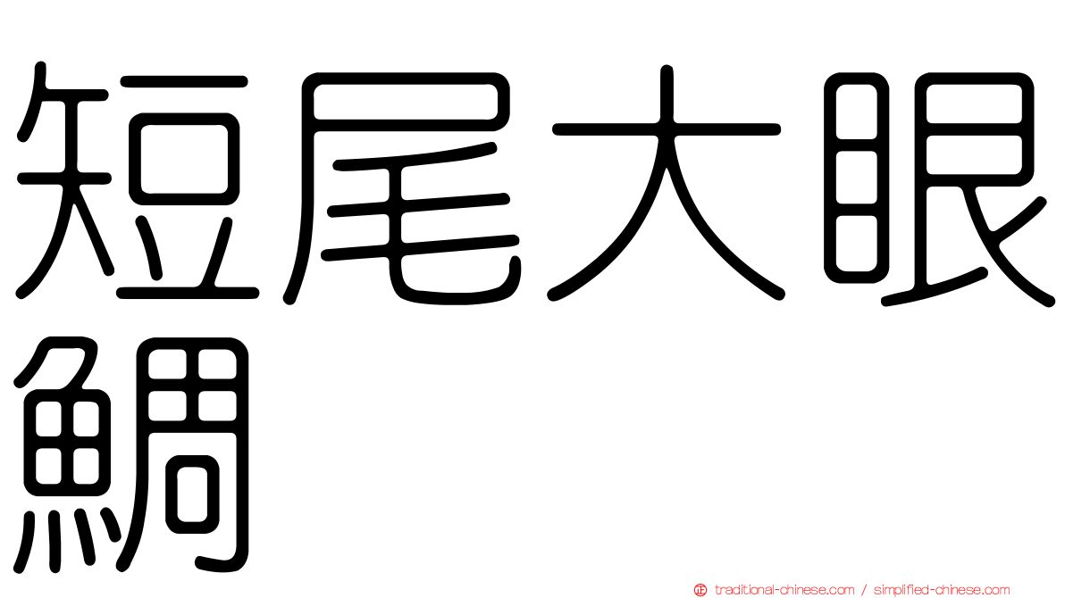 短尾大眼鯛