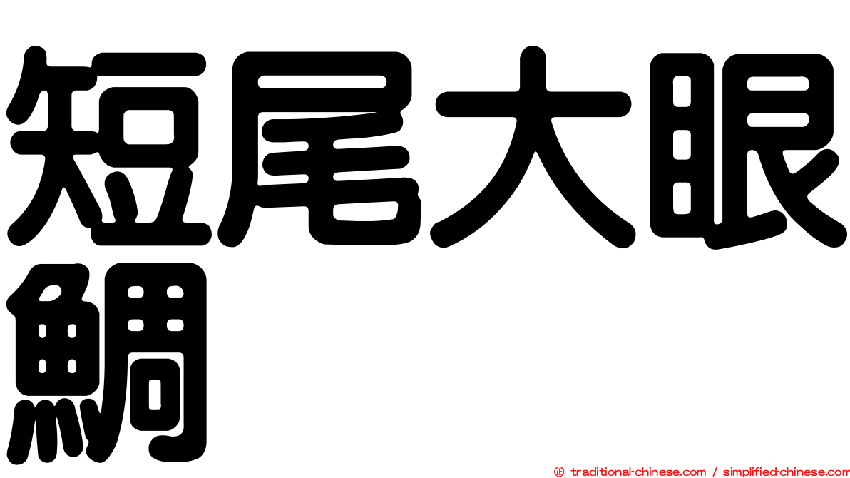 短尾大眼鯛