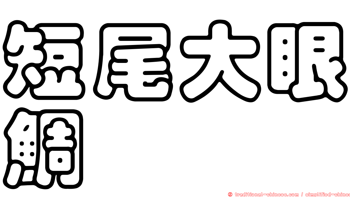 短尾大眼鯛
