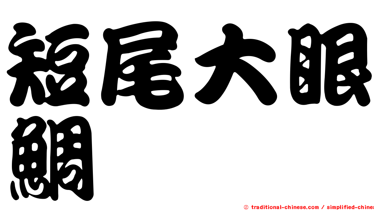 短尾大眼鯛