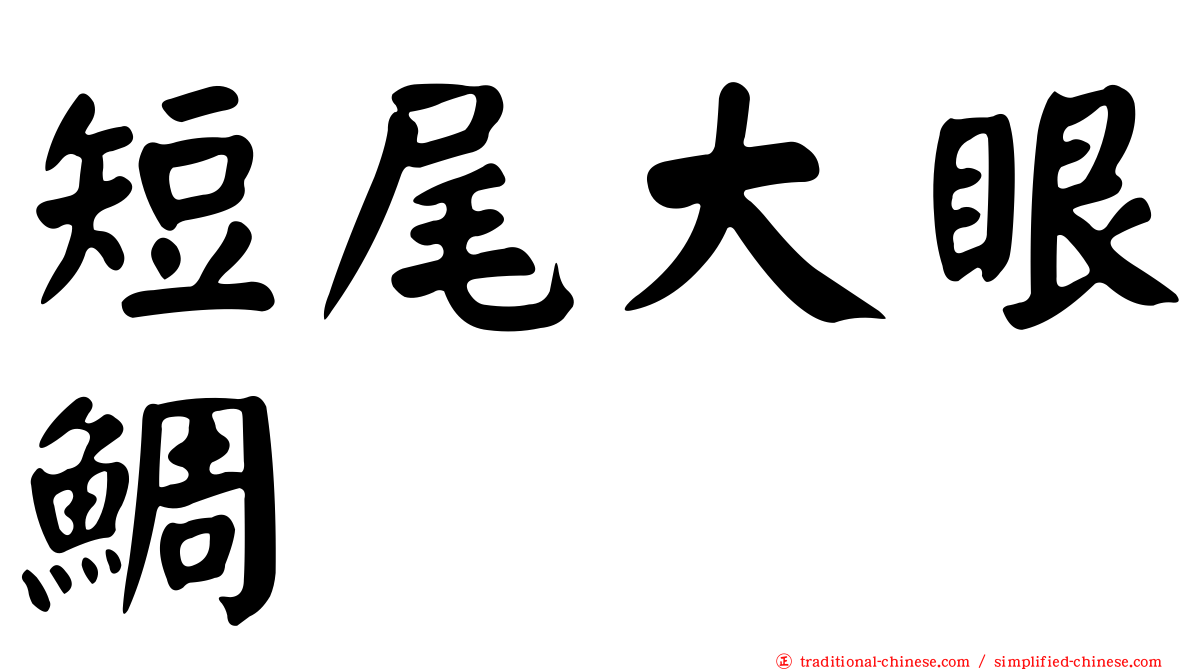 短尾大眼鯛