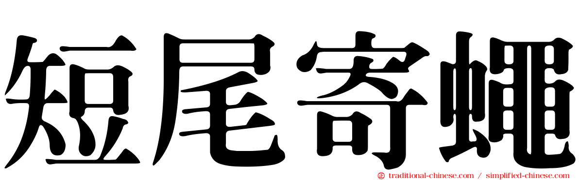 短尾寄蠅