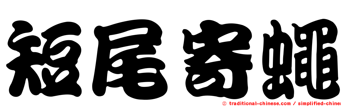 短尾寄蠅