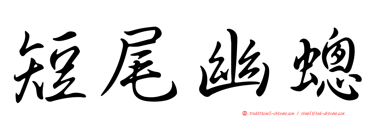 短尾幽蟌