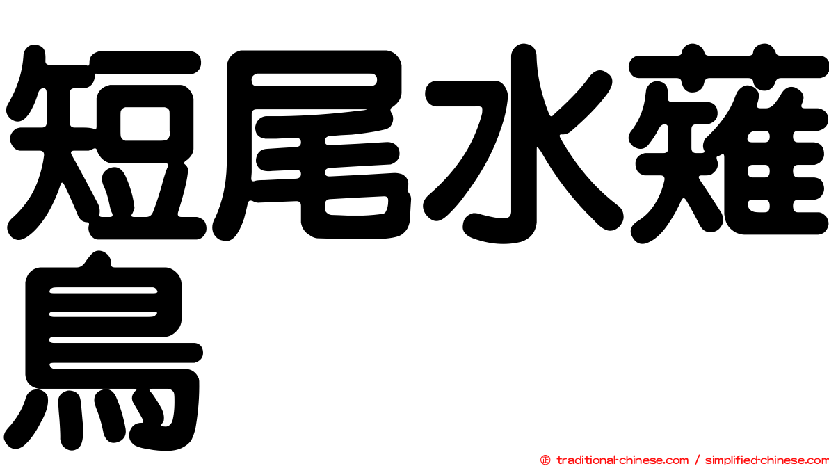 短尾水薙鳥