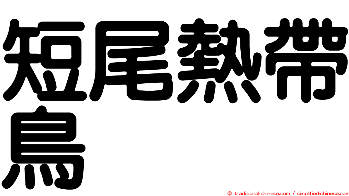 短尾熱帶鳥