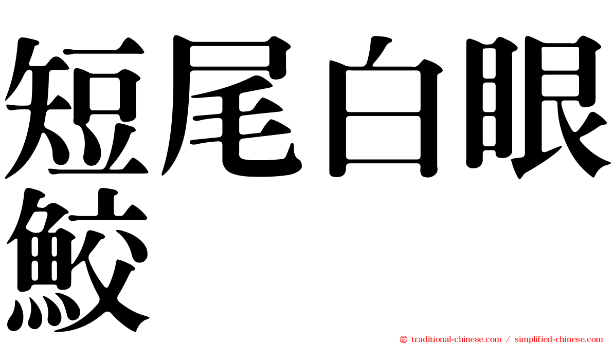 短尾白眼鮫