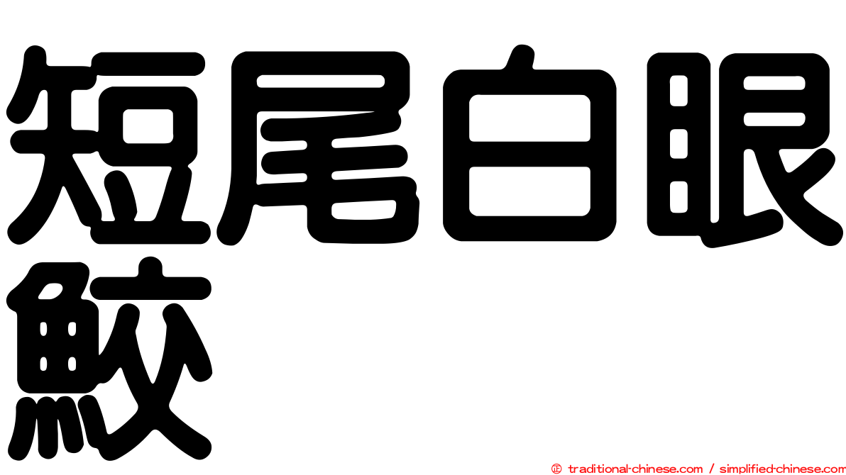 短尾白眼鮫