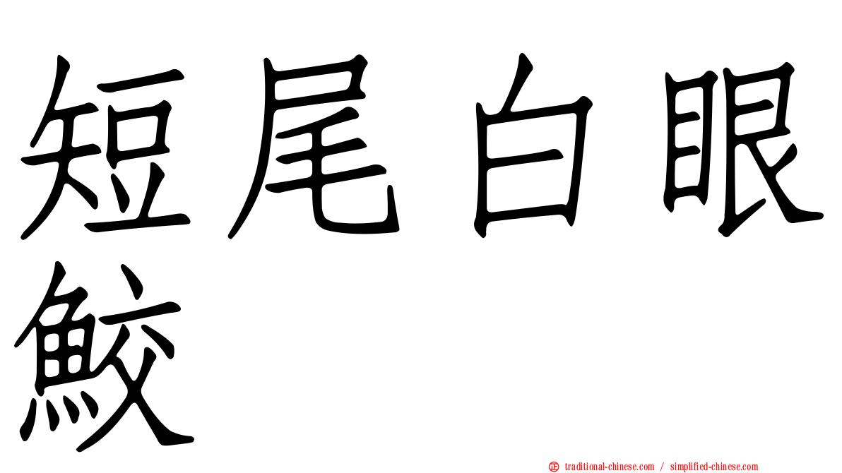 短尾白眼鮫