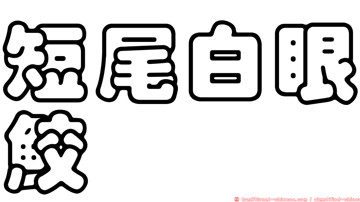短尾白眼鮫