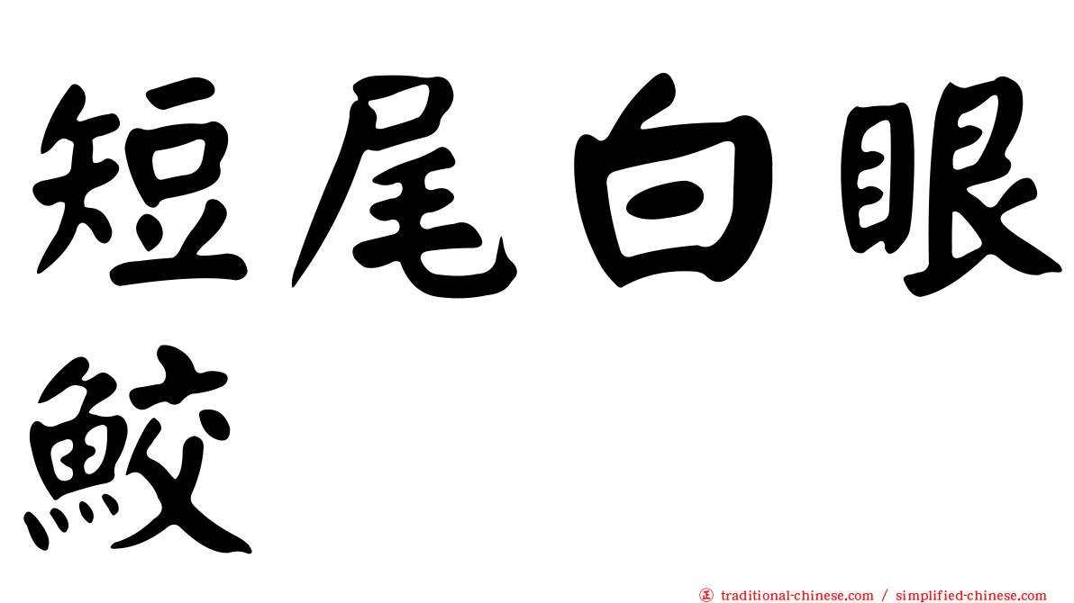 短尾白眼鮫