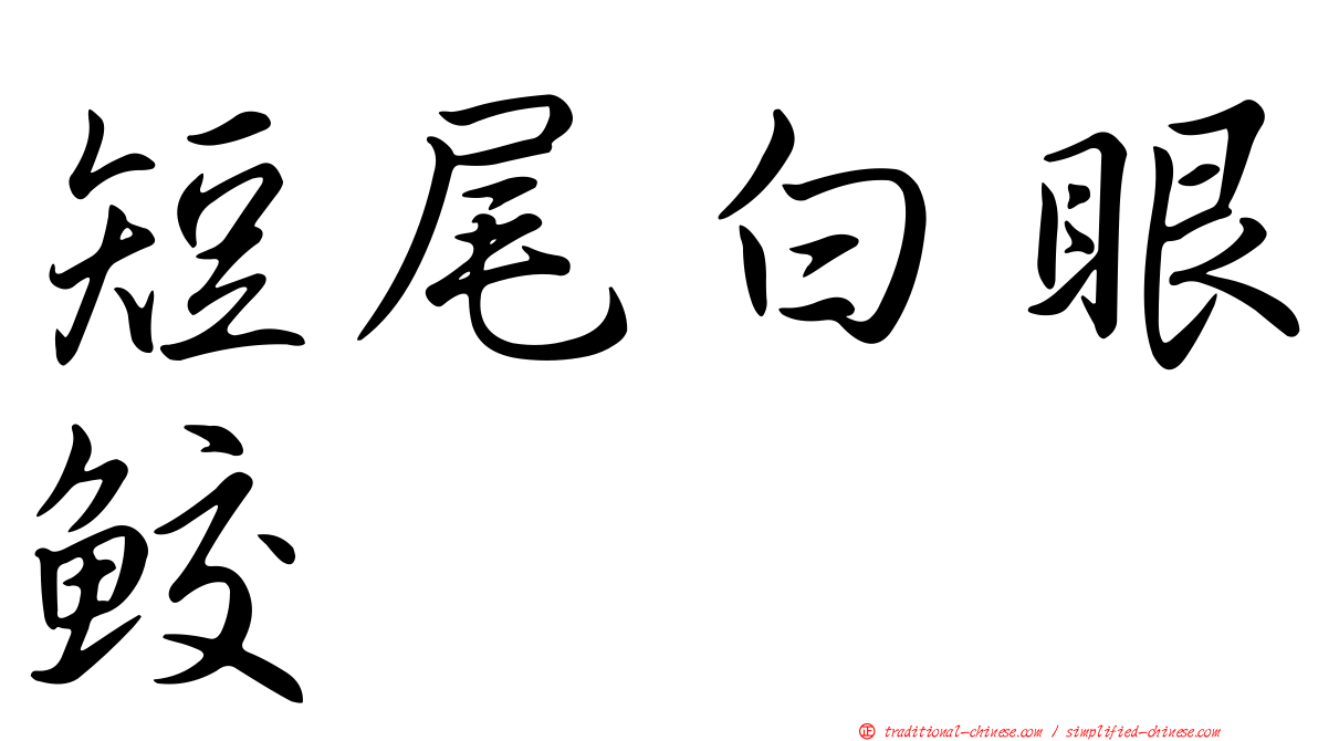 短尾白眼鮫