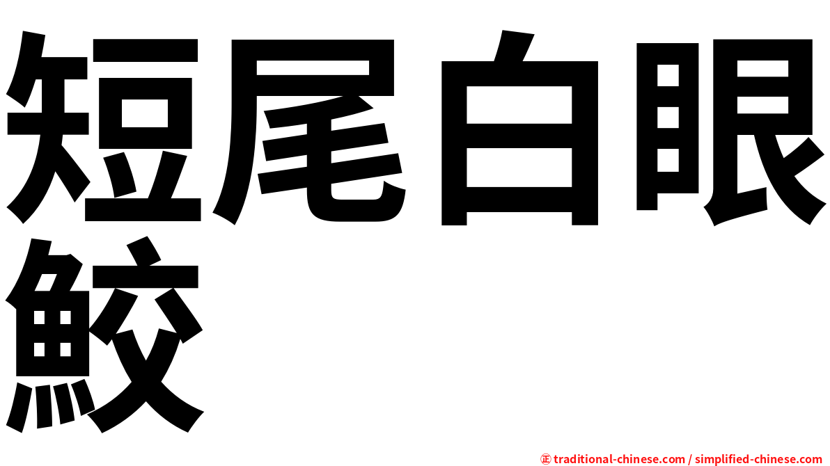 短尾白眼鮫