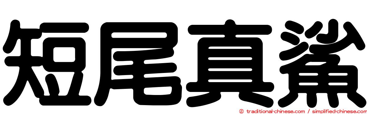 短尾真鯊