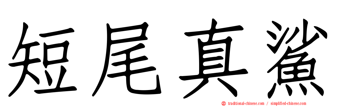 短尾真鯊