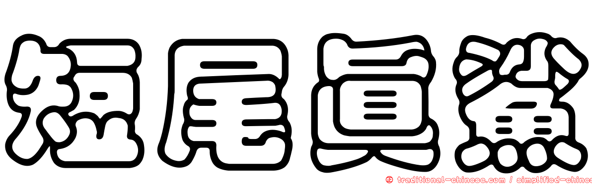 短尾真鯊
