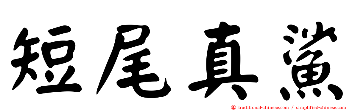 短尾真鯊