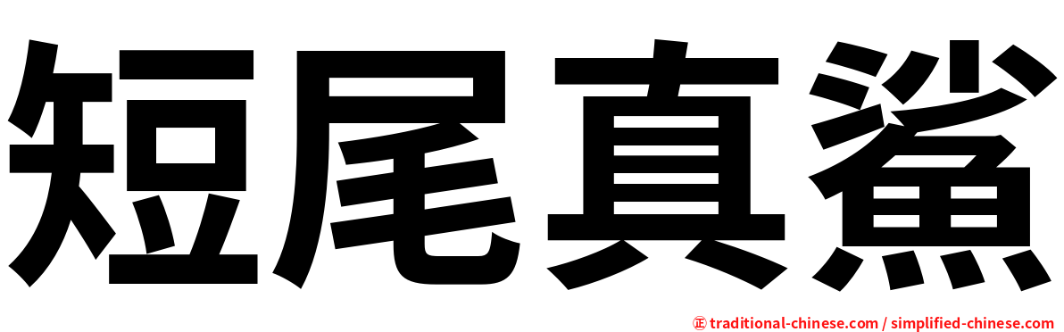 短尾真鯊