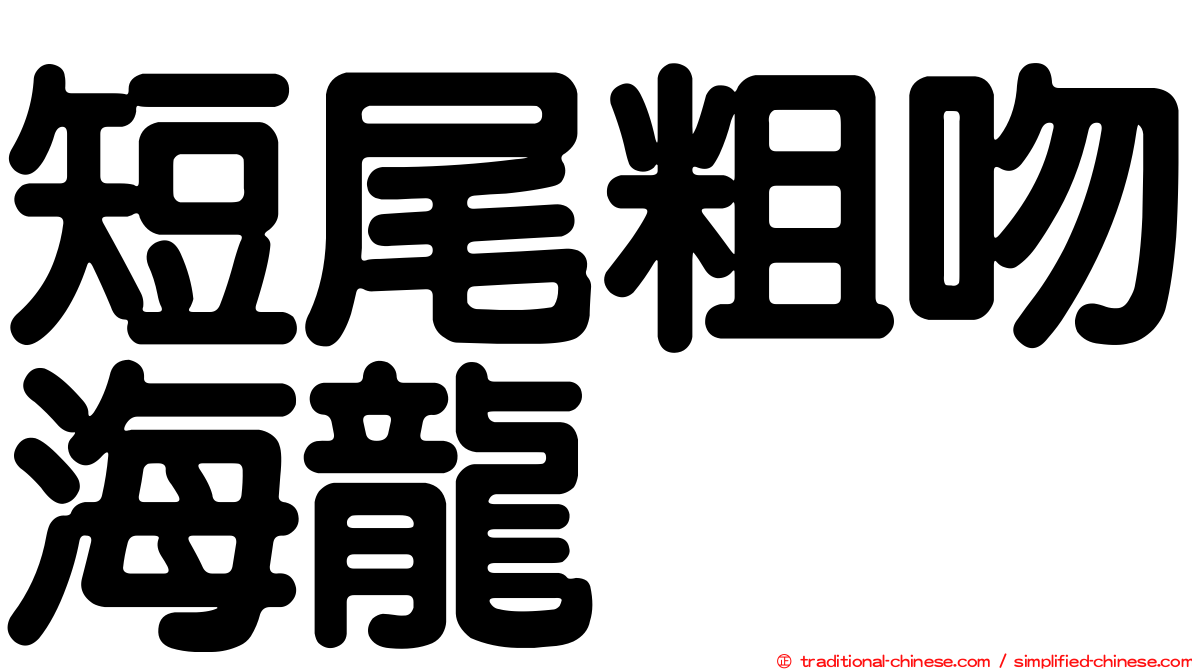 短尾粗吻海龍