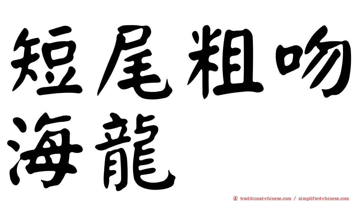 短尾粗吻海龍