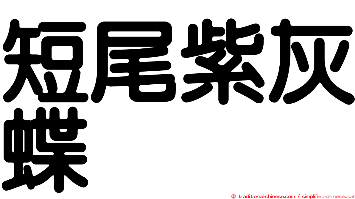短尾紫灰蝶