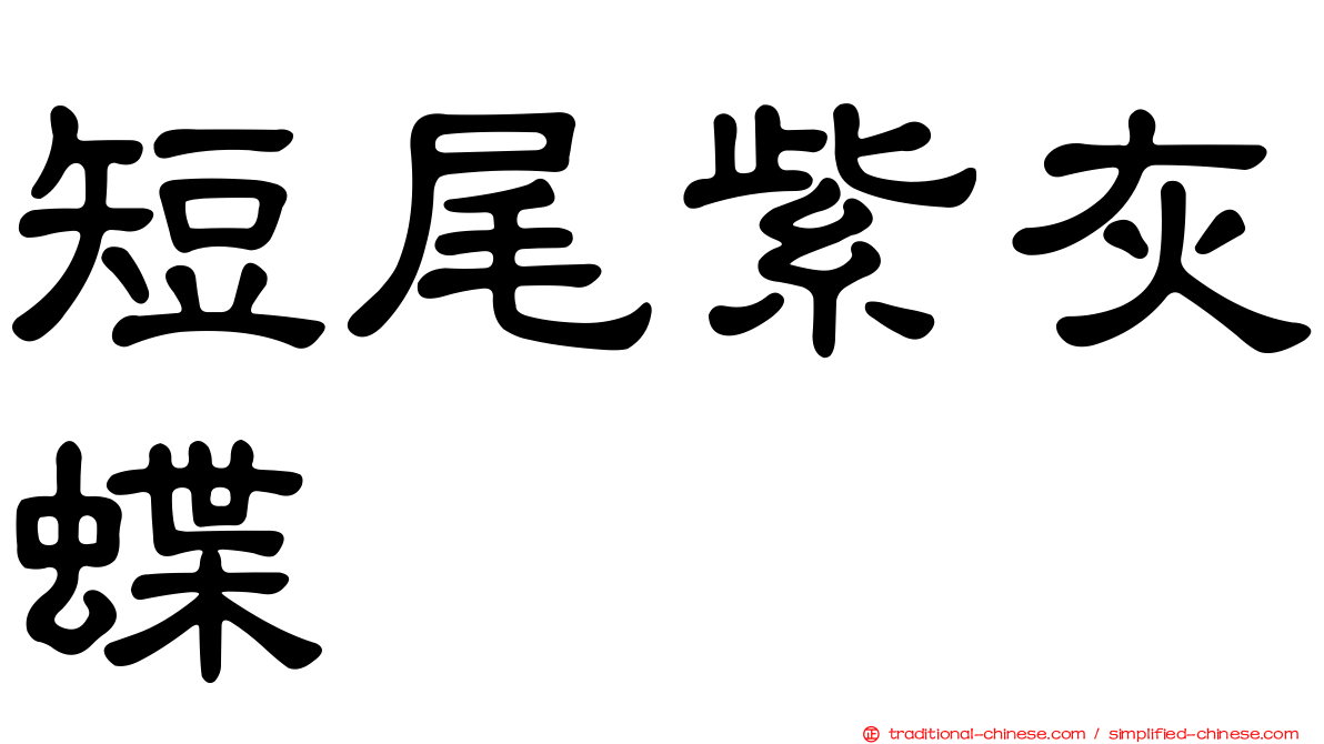 短尾紫灰蝶