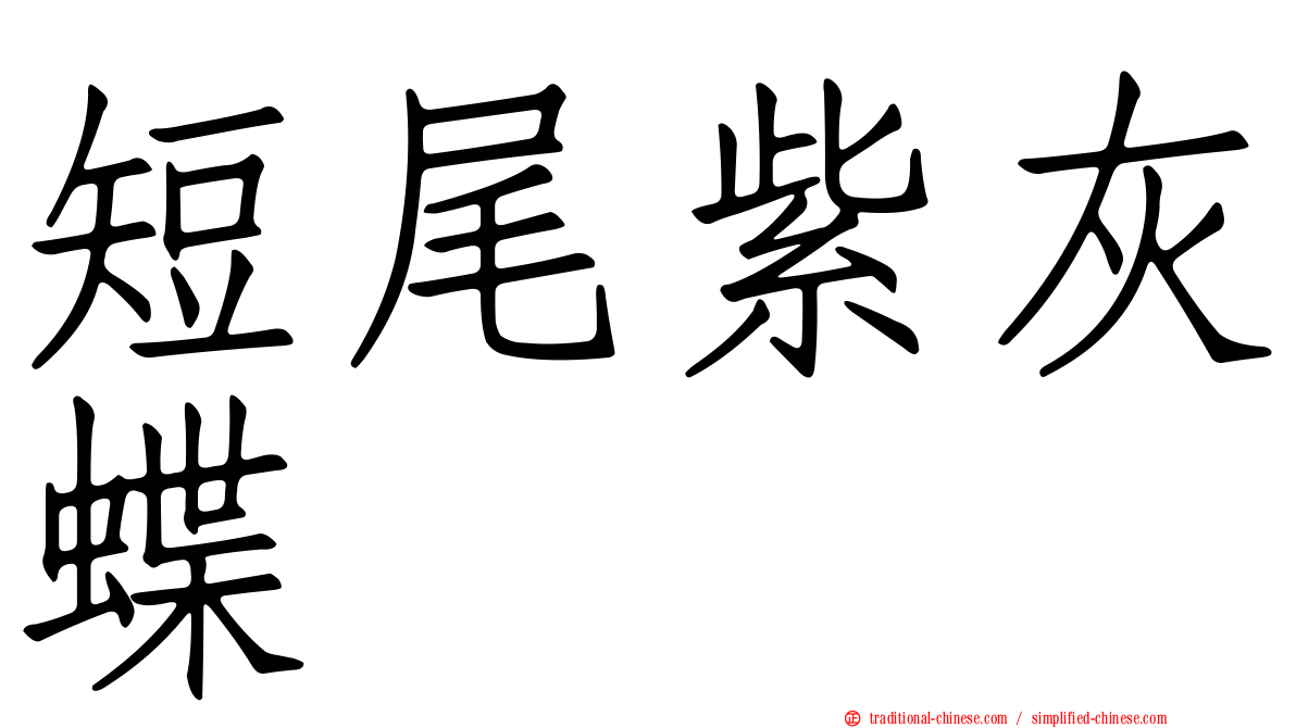 短尾紫灰蝶