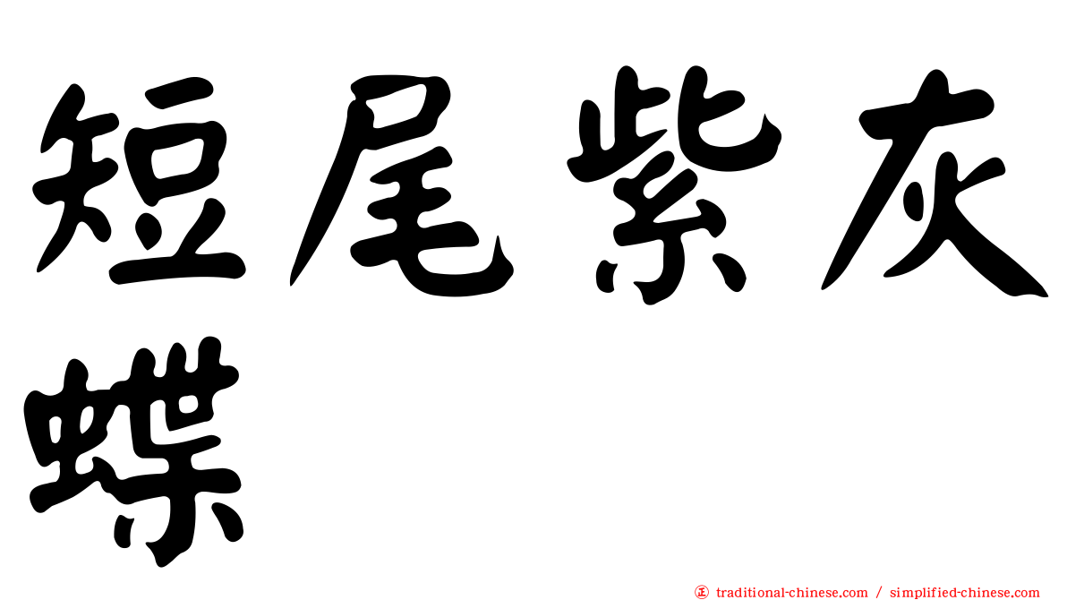 短尾紫灰蝶