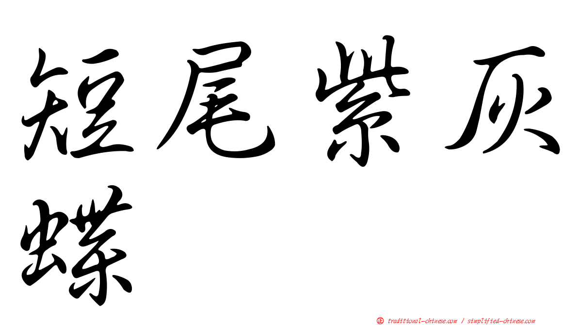 短尾紫灰蝶
