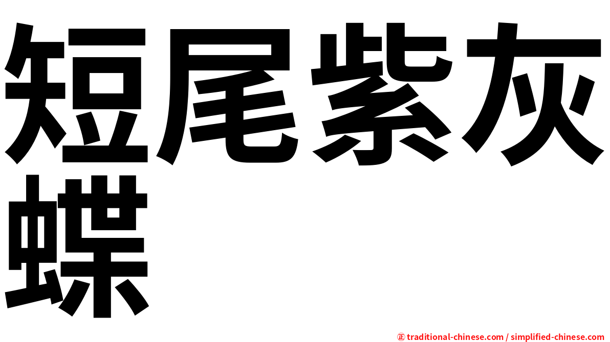 短尾紫灰蝶
