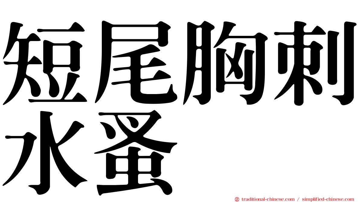 短尾胸刺水蚤