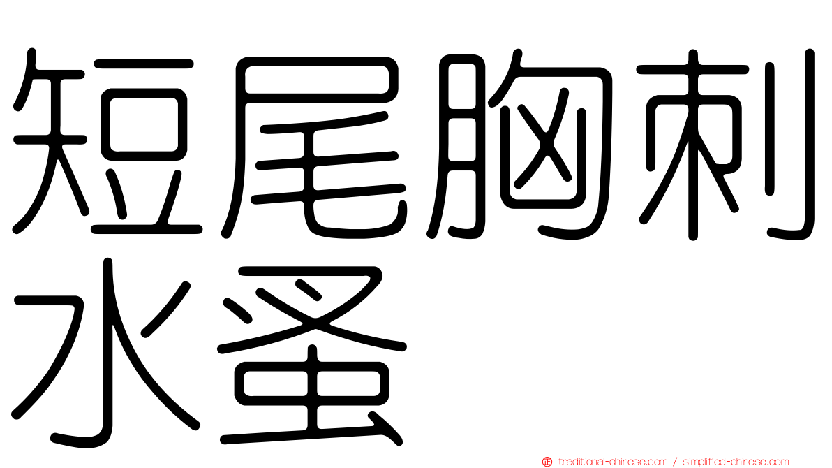 短尾胸刺水蚤