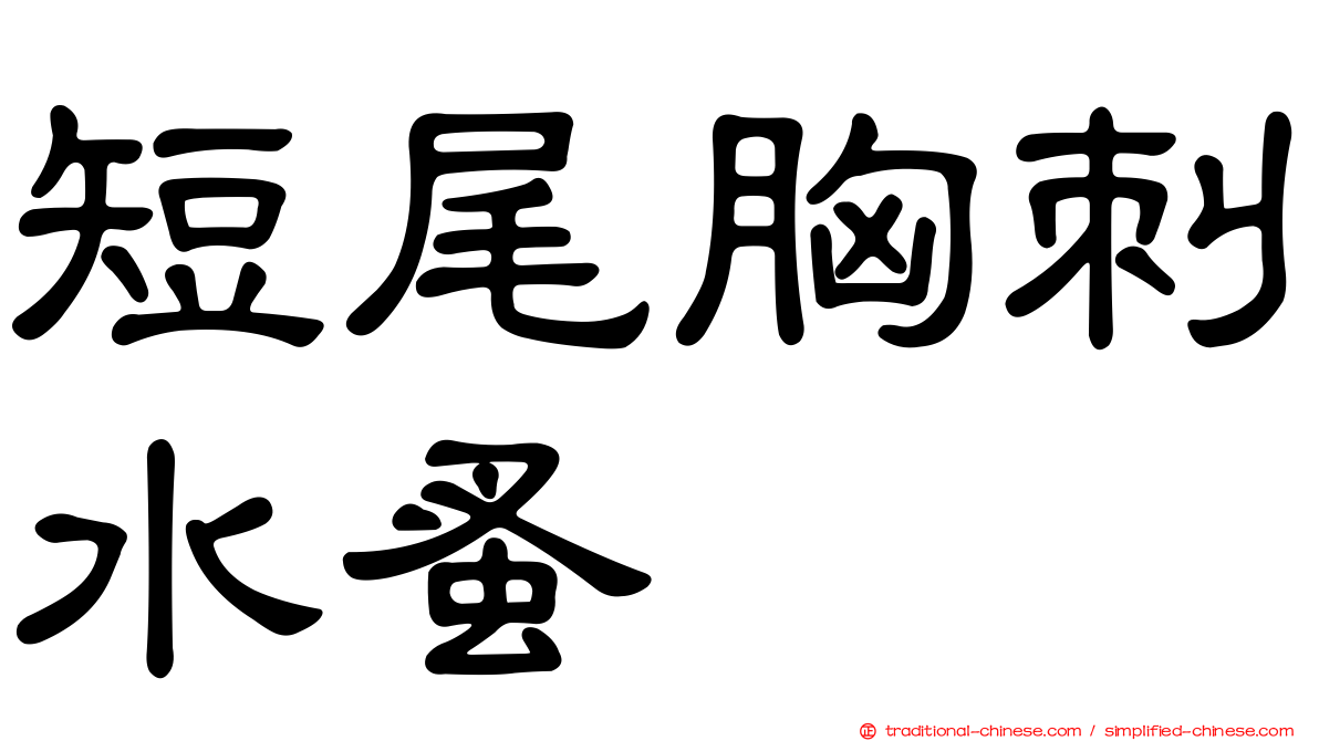 短尾胸刺水蚤