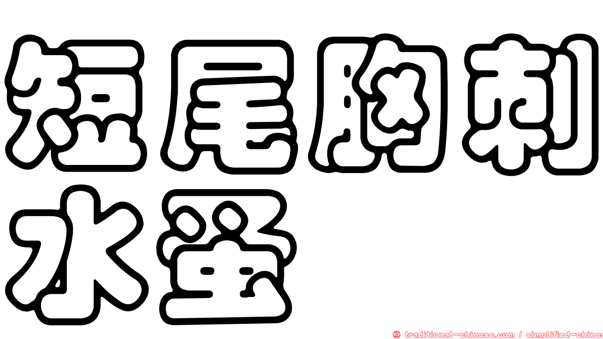 短尾胸刺水蚤